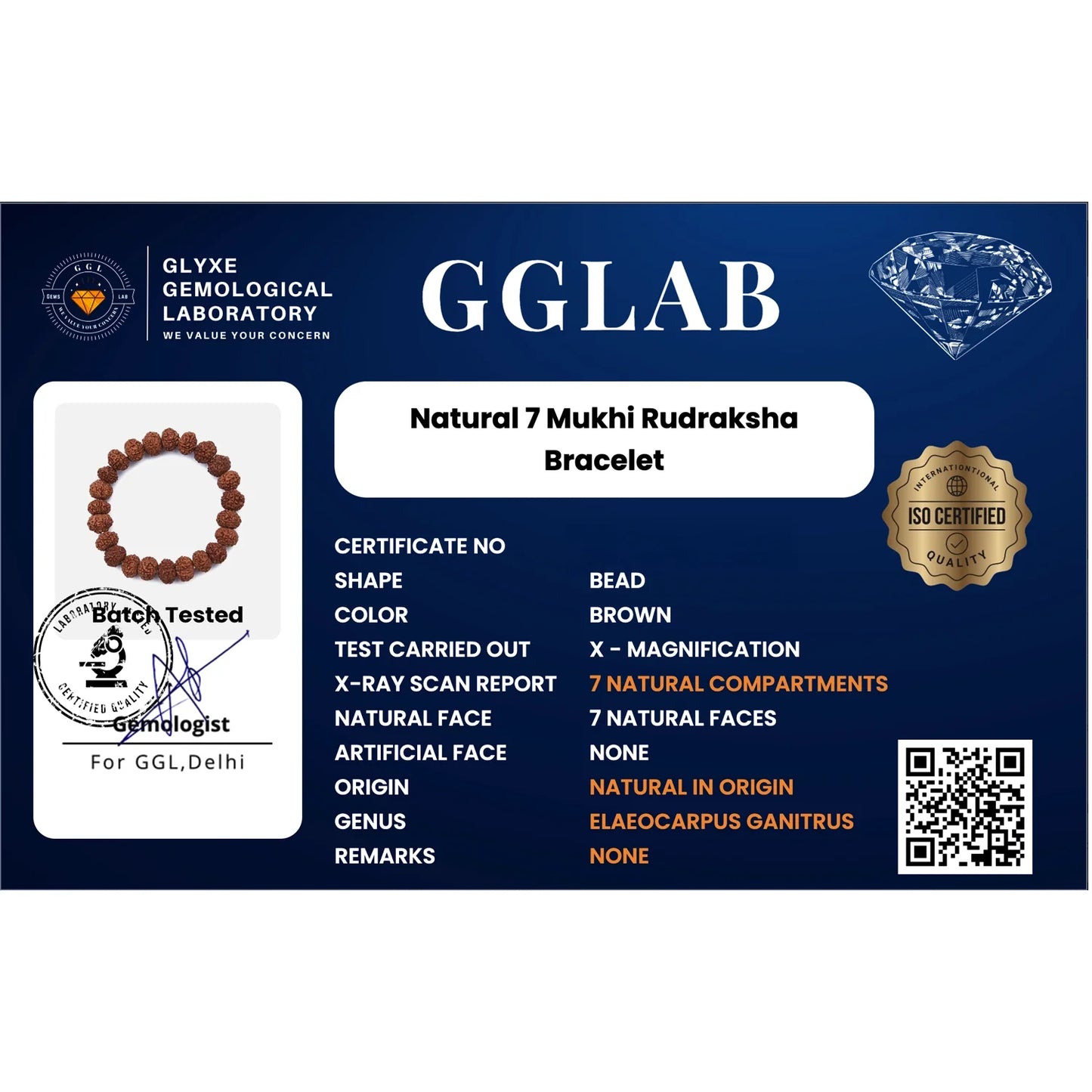 7 Mukhi Rudraksha Bracelet